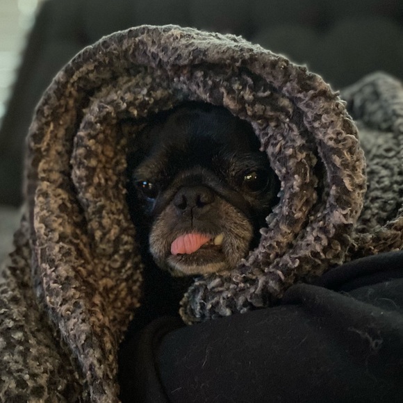 Meet your Posher, Julie - Picture 1 of 1